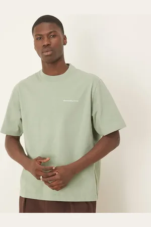 Abercrombie & Fitch Premium logo T-shirt in