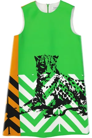 Dior Printed Mini Dress