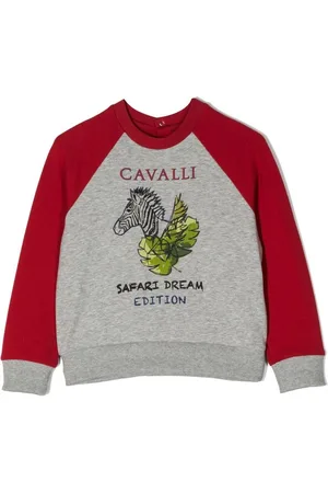 Roberto Cavalli Graphic-print sweatshirt