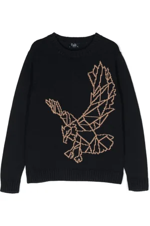 Il gufo Eagle-intarsia cotton jumper