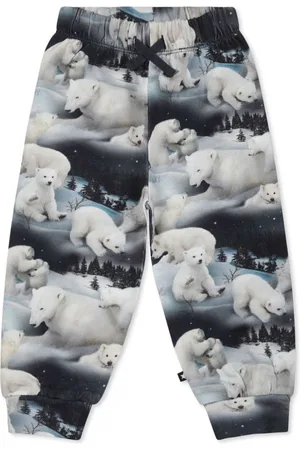 Molo Snow bears track pants