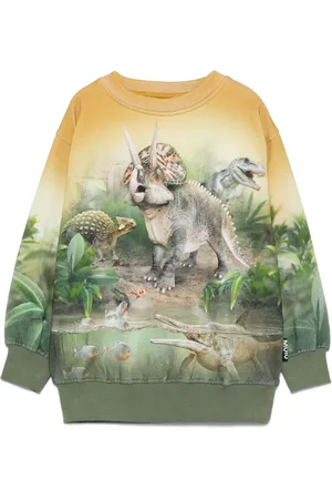 Molo Mattis sweatshirt