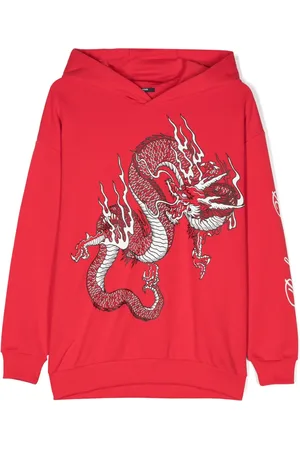 Balmain 3D Dragon-print hoodie