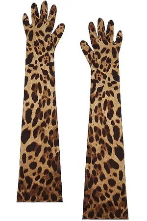 Dolce & Gabbana Women Gloves - Stretch Gloves in Brown