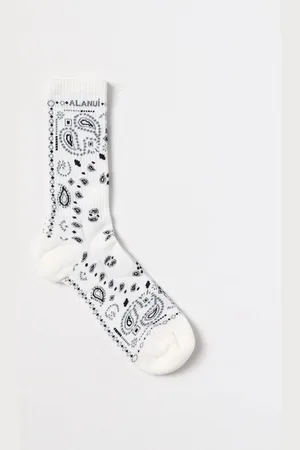 Alanui Socks Men color