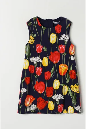 Dolce & Gabbana Dress Kids color