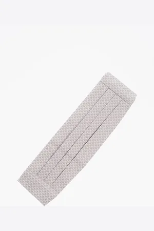 corneliani Patterned Pleated Cummerbund