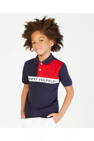 Tommy Hilfiger Toddler and Little Boys Logo Graphic Colorblocked Polo