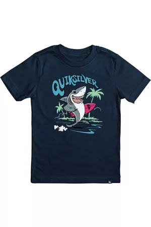Quiksilver Boys Short Sleeved T-Shirts - Toddler Boys Short Sleeves Youth Washed Out T-shirt