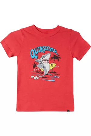 Quiksilver Boys Short Sleeved T-Shirts - Toddler Boys Short Sleeves Youth Washed Out T-shirt