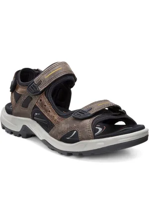 Ecco Men