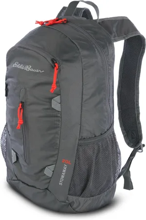 Eddie Bauer Stowaway Packable 20 Liters Daypack