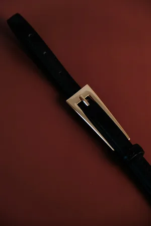 MESHKI Adrian Belt With Buckle