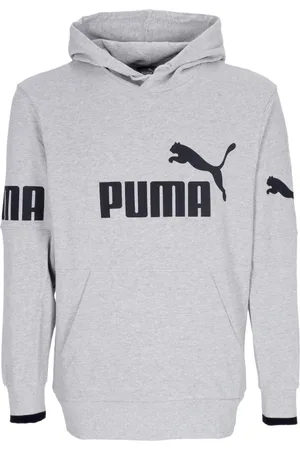 PUMA Hoodies, male, , Size: L Colorblock Hoodie with Hood and Pocket