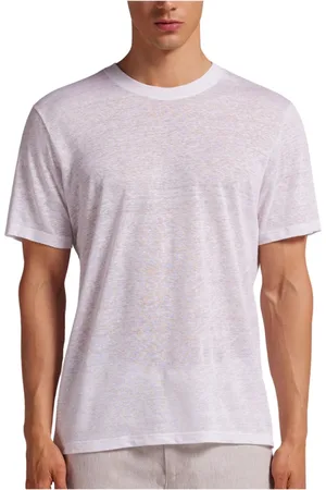 Tommy Hilfiger T-Shirts, male, , Size: S Linen Blend Crew Neck T-Shirt