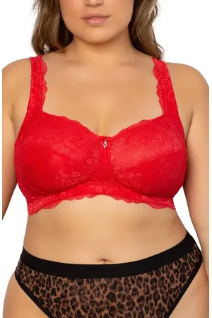 CURVY COUTURE Luxe Lace Wireless Bralette in at Nordstrom, Size 40G