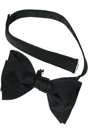Charles Tyrwhitt Ready-Tied Silk Bow Tie in at Nordstrom