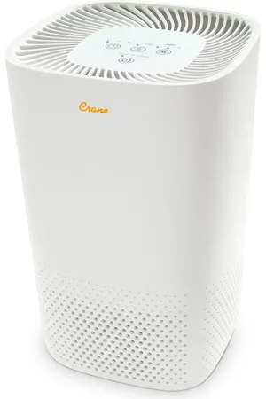 CRANE AIR True HEPA Air Purifier in at Nordstrom