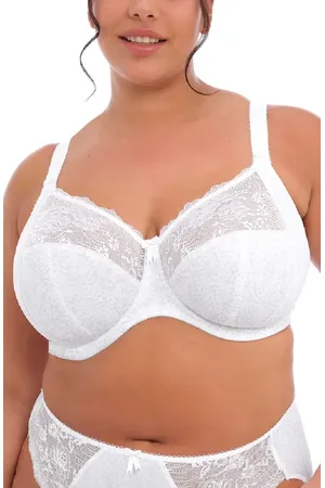 Elomi Morgan Full Figure Underwire Bra in at Nordstrom, Size 36G