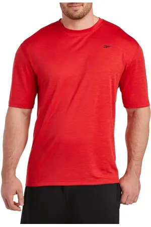 Reebok Big & Tall Performance Mesh T-Shirt in at Nordstrom, Size 4Xlt