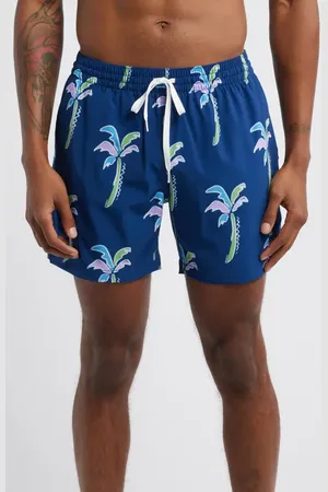 Chubbies The Tampa Winters Classic 5.5-Inch Swim Trunks in at Nordstrom, Size Xx-Large