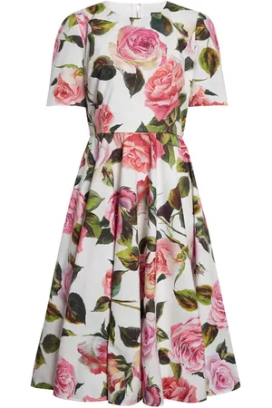 Dolce & Gabbana Rose Print Cotton Fit & Flare Dress in at Nordstrom, Size 4 Us