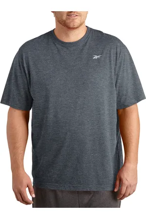 Reebok Big & Tall Performance Jersey Tech T-Shirt in at Nordstrom, Size 2X Big