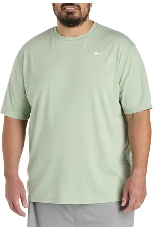 Reebok Big & Tall Performance Jersey Tech T-Shirt in at Nordstrom, Size 2Xlt