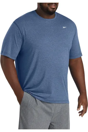 Reebok Big & Tall Performance Jersey Tech T-Shirt in at Nordstrom, Size 5X Big