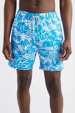 Vintage Summer Volley Swim Trunks in at Nordstrom, Size Large