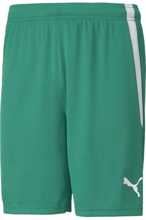 PUMA TeamLIGA Men