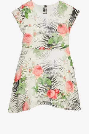 Roberto Cavalli Dress With Mini Zebra And Rose Print - Female Ready To Wear 04a