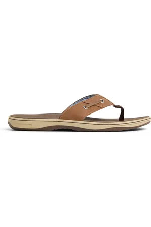 Sperry Men