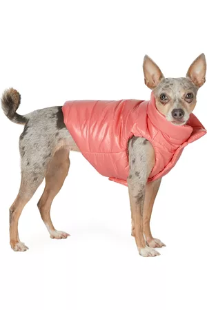 Moncler Jackets - Pink Poldo Dog Couture Edition Mondog Jacket