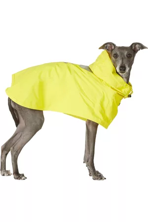 Merlot Yellow Ain Dog Coat
