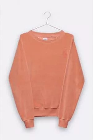 LOVE kidswear Women Sweaters - Tommy Sweater In Apricot With Alpaca Embroidery For Women