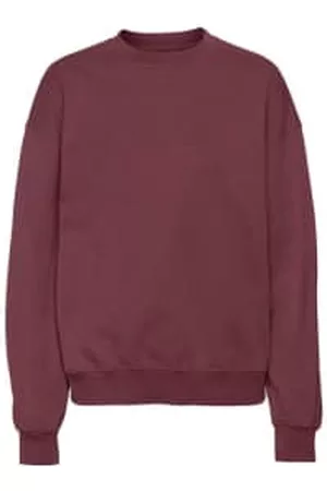 Colorful Standard Oversized Sweaters - Oversized Unisex Crew Neck Sweatshirt - Dusty Plum