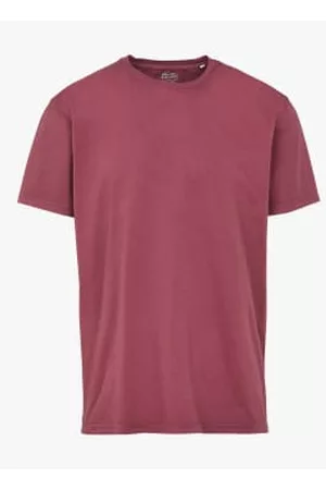 Colorful Standard Women T-Shirts - Tee-shirt Dusty Plum