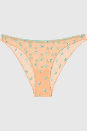 Understatement Mesh Bikini Briefs Peach/Turquoise