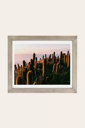 Victoria Aguirre Accessories - Cactus Sunset Art Print